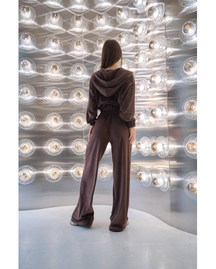 57 Велюровий Костюм із капюшоном з прямими штанами