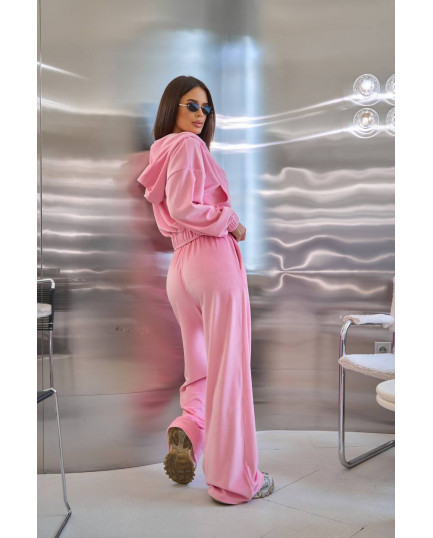 57 Велюровий Костюм із капюшоном з прямими штанами