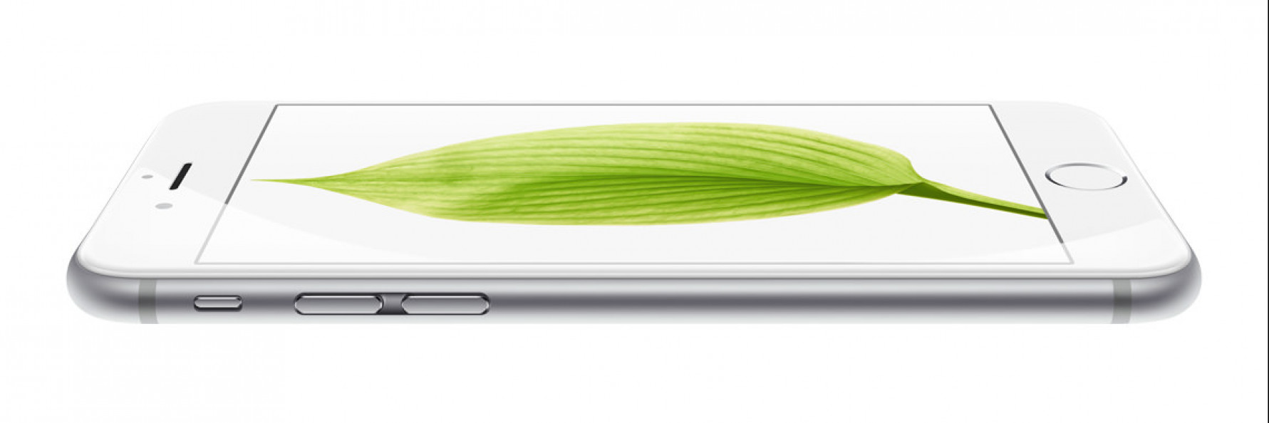 iPhone 6