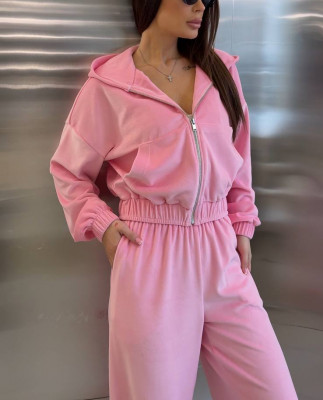 57 Велюровий Костюм із капюшоном з прямими штанами