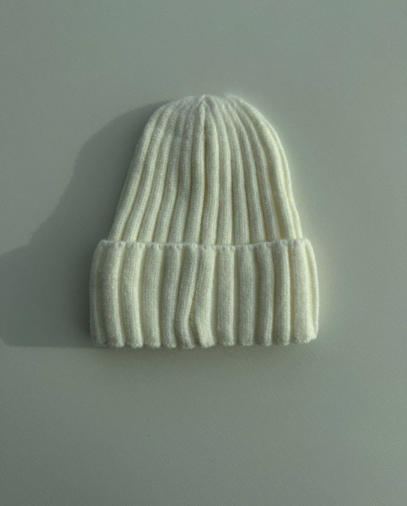 99 Шапка зимня