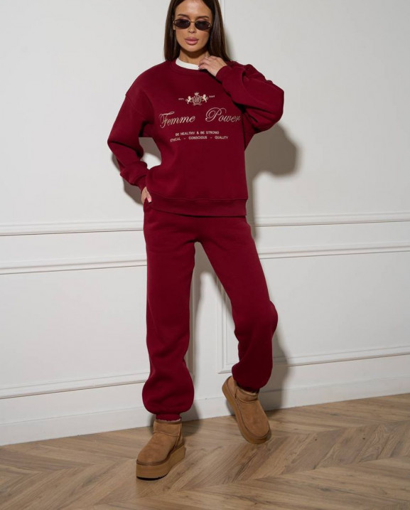 59/1 спортивний костюм на флісі з вишивкою світшот з джогерами 